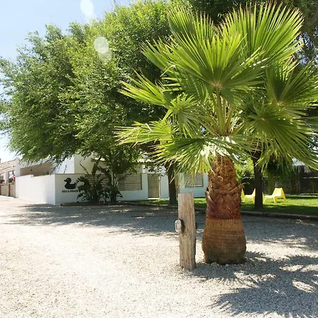 Lofts Bedandbeach Apartment El Palmar (Andalucia)